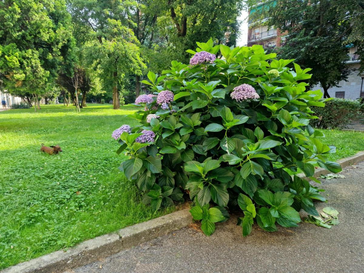 Giardino Sul Naviglio Appartement Milaan Buitenkant foto
