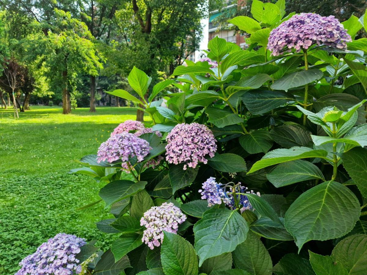 Giardino Sul Naviglio Appartement Milaan Buitenkant foto